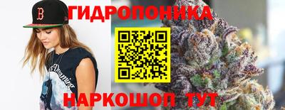гидропоника Ирбит